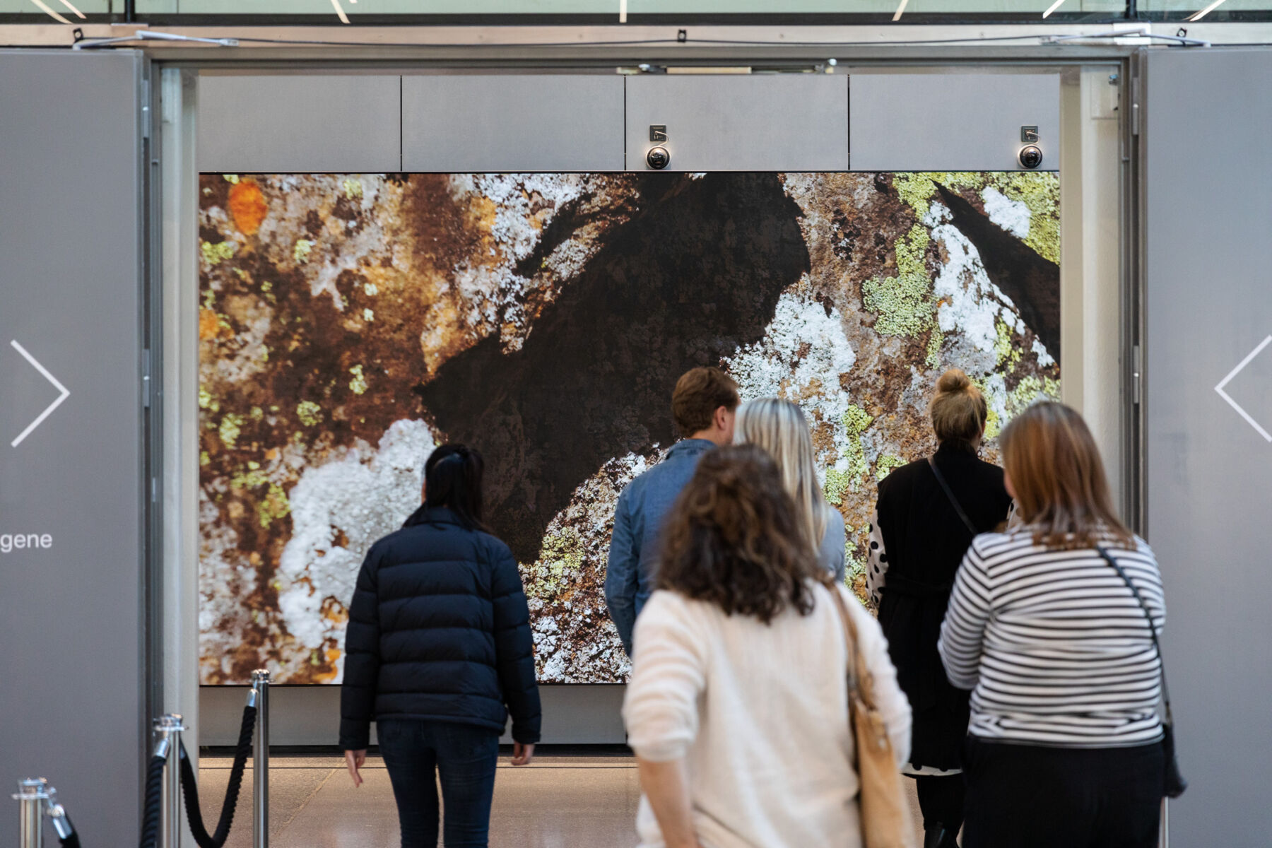 Seks personer står i et utstillingsrom og ser på et stort maleri hengende på veggen. Foto.