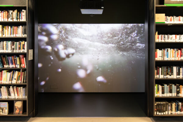 Film vist på lerret i avlukke på Deichman Bjørvika, med bokhyller på hver side. Foto.