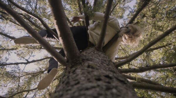 Person ligger høyt oppe i et tre, og hviler kroppen på grenene. Sett nedenfra Foto