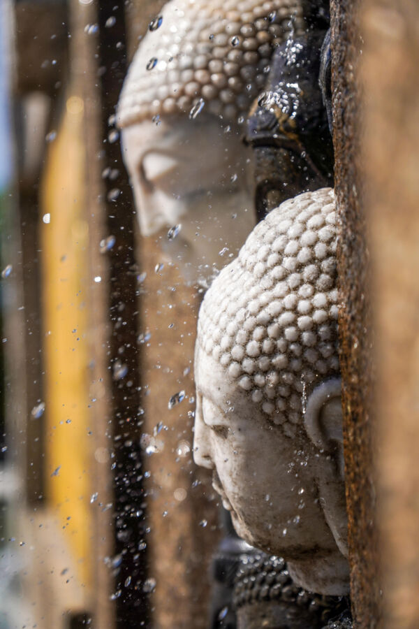 Foto av to Buddhahoder i Klosterenga park.