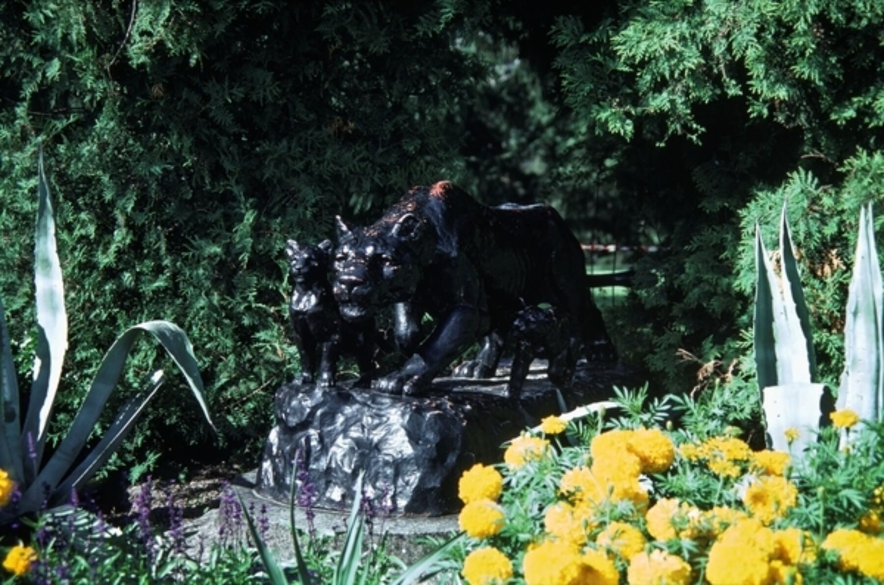 Skulptur av en løvinne med en løveunge på hver side. Foto.