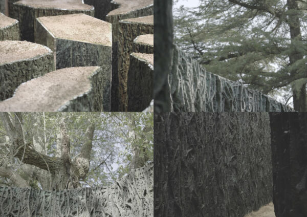 Utsnitt nærbilder av trær og trestubber. Rendering