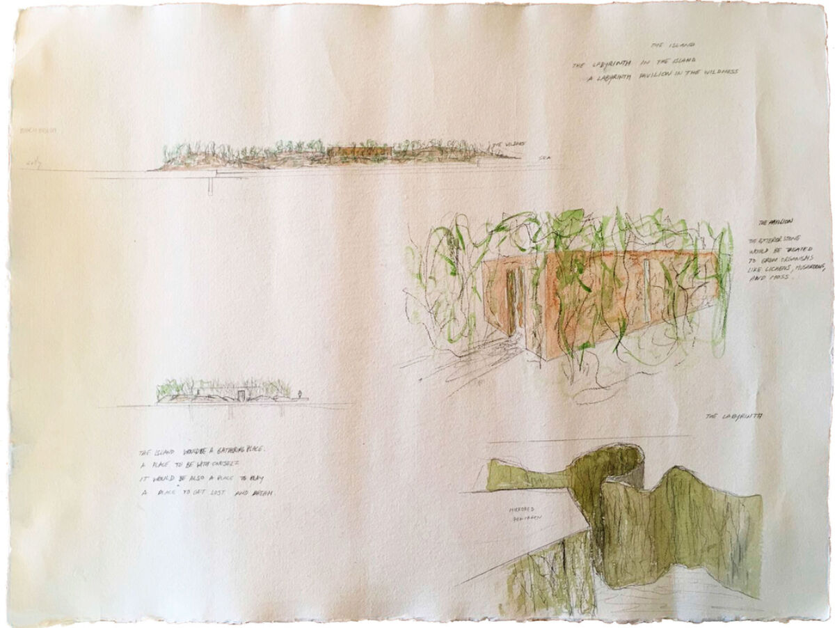 Akvarell; jord, røtter, vegg av trær, tekst. Illustrasjon