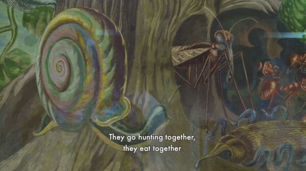 Tegning av en snegle og maur på en trestamme. Stillbilde fra film.