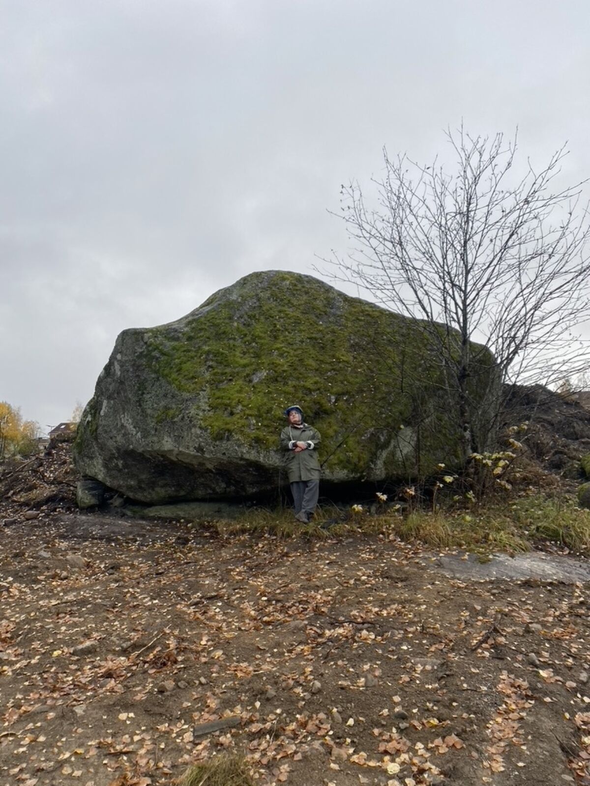 Stor stein med mose på står i et høstlandskap. Foto.