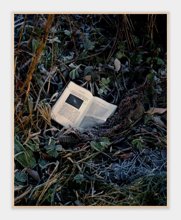 En bok ligger oppslått i strågress dekket av frost og rim.