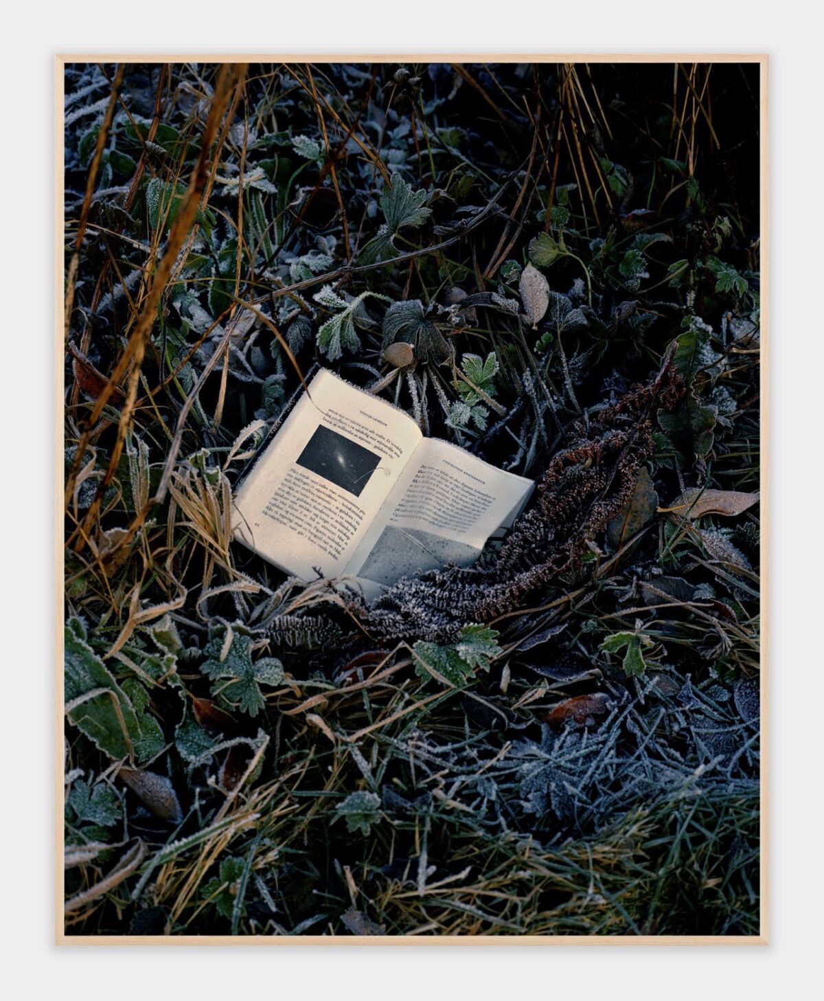 En bok ligger oppslått i strågress dekket av frost og rim.