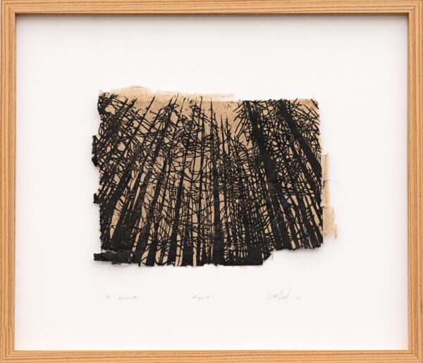 Innrammet trykk av mange trær sett fra bakkenivå og opp mot himmelen. Foto av innrammet trykk.