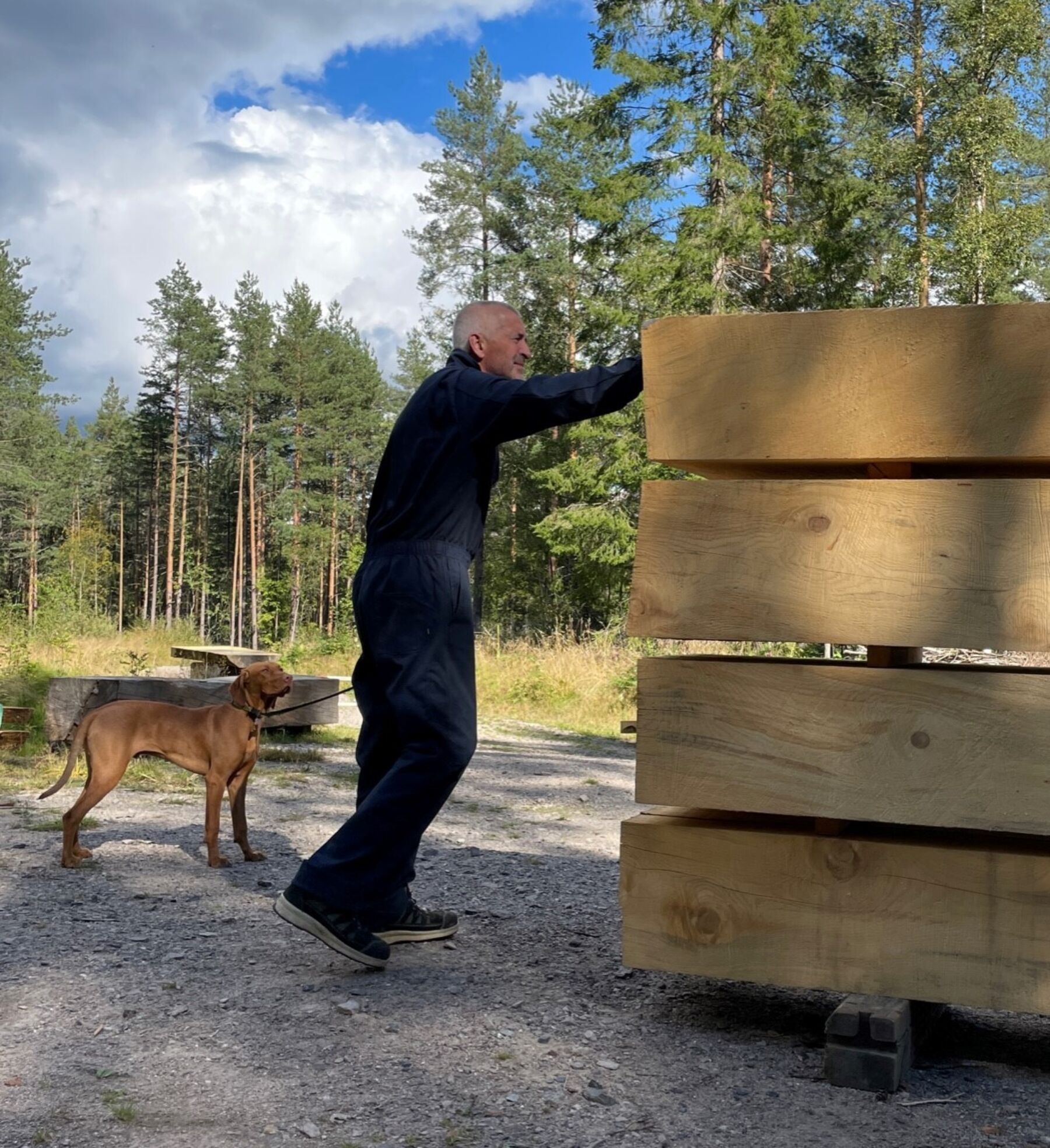 Person og hund står ved siden av store treplanker i skulpturform. De står utendørs. Foto.