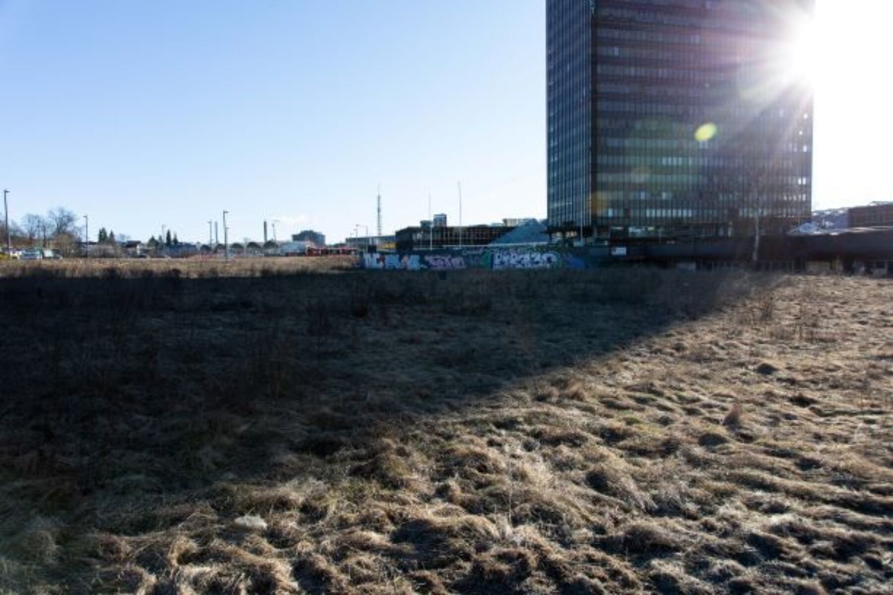 Sola lyser over en brun gresslette. I bakgrunnen er en høyblokk med mange vinduer. Foto.