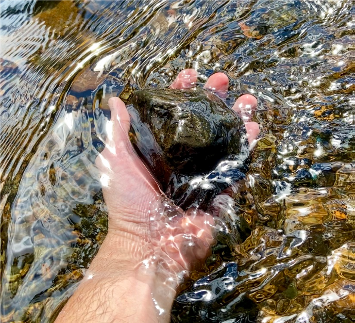 En hånd ligger i vannet og holder i en stein.
