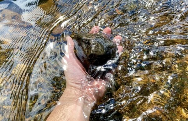 En hånd ligger i vannet og holder i en stein.