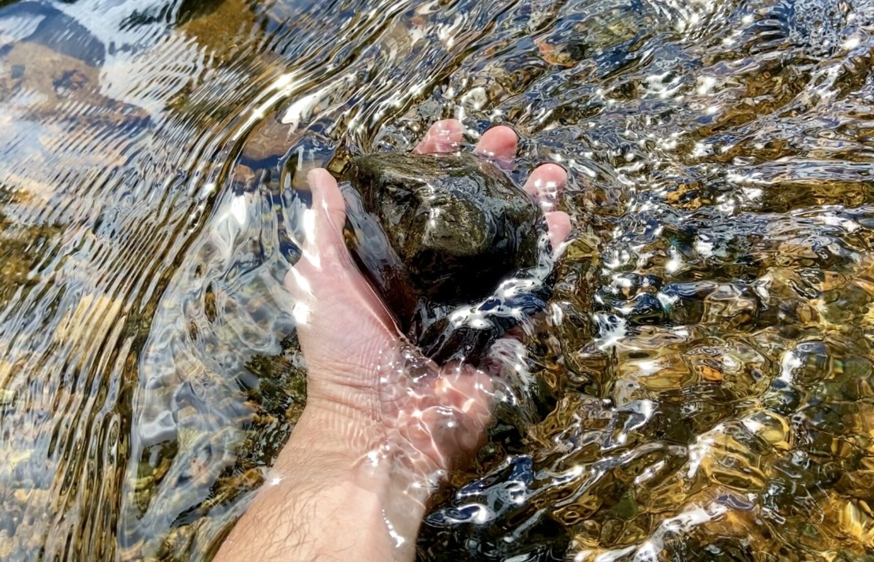 En hånd ligger i vannet og holder i en stein.