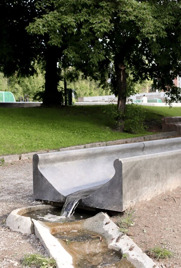 Foto fra Klosterenga skulpturpark