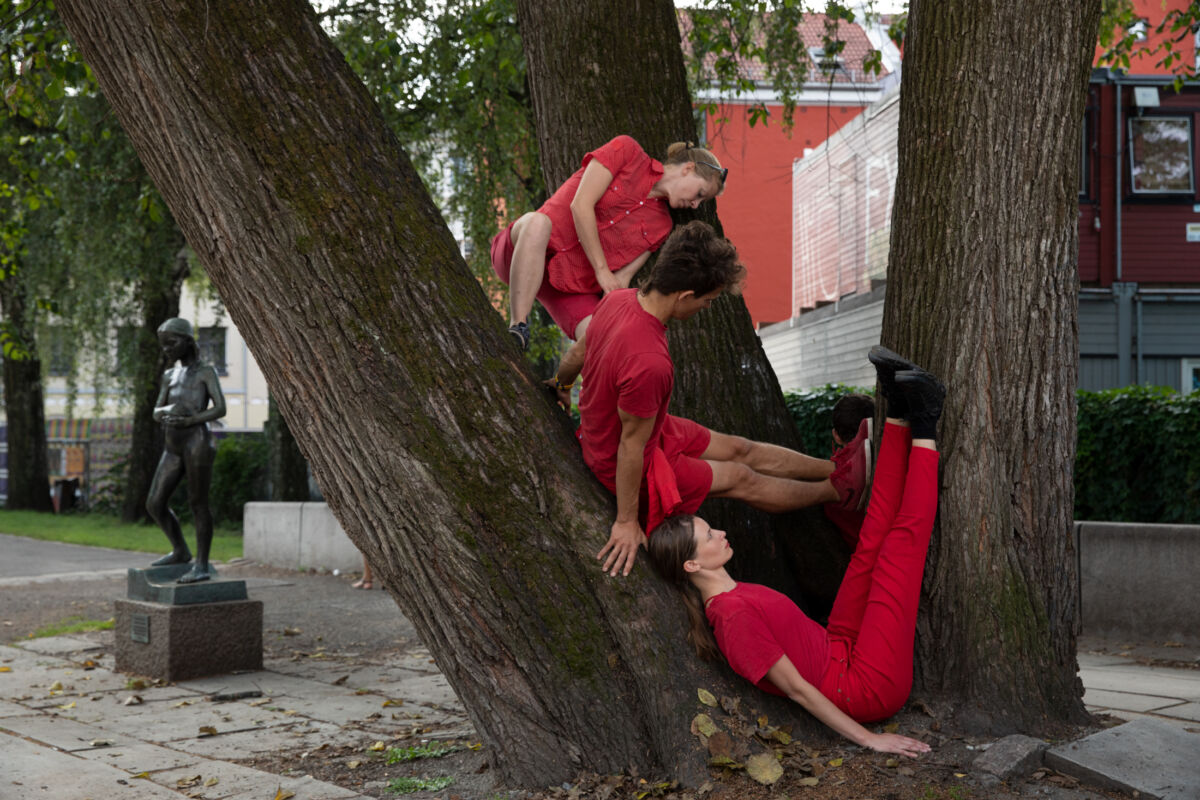 Tre personer kledd i rødt sitter i et tre. Foto.