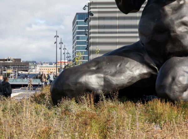 Foto av enga rundt Moren av Tracey Emin